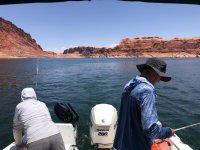 IMG_3738.jpeg