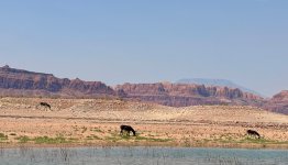 IMG_6539.jpeg