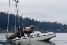 Screen Shot 2025-07-15 at 12.46.24 PM.png