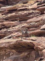IMG_0176.jpeg