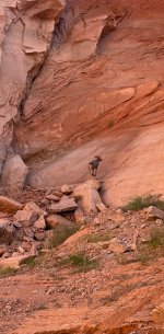 IMG_1250.jpeg
