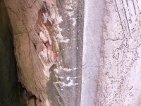 IMG_4411.jpeg