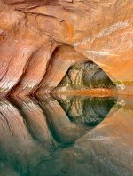 IMG_4245.jpeg IMG_4245.jpeg