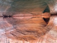 IMG_0313.jpeg IMG_0313.jpeg