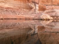 IMG_1166.jpeg IMG_1166.jpeg