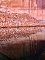 IMG_3175.jpeg IMG_3175.jpeg