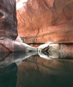 IMG_3178.jpeg IMG_3178.jpeg