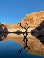 thumbnail_51ACDCEF-LP 1.jpg