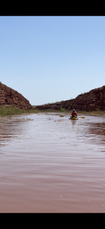 IMG_5900.PNG IMG_5900.PNG