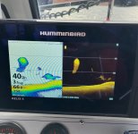 IMG_3907.jpeg IMG_3907.jpeg