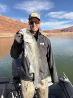 1763393474882.png 1763393474882.png