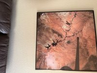 IMG_5699.jpeg IMG_5699.jpeg