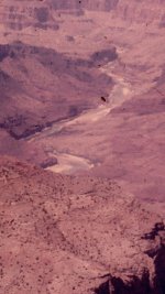 1964 June - Marble Canyon - 1,000 cfs.jpeg 1964 June - Marble Canyon - 1,000 cfs.jpeg