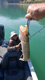 Rifle pike.jpg