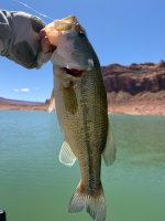 IMG_1616.jpeg