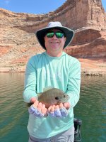 Big Bluegill.jpg
