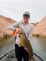 12lb carp.jpg