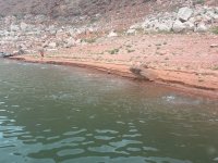 IMG_0142.jpeg