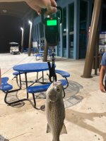 IMG_1993.jpeg