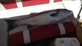 IMG_20260620_120125922.jpg