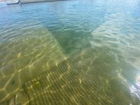 IMG_7572.jpeg