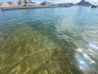 IMG_7573.jpeg