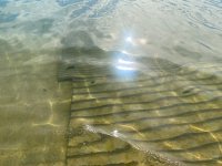 IMG_7563.jpeg