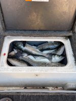 IMG_6015.jpeg