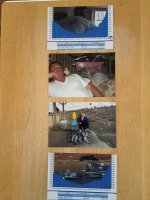 IMG_20260809_173227706~2.jpg