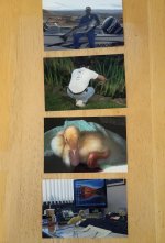 IMG_20260809_173950926~2.jpg