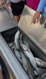 IMG_3846.jpeg
