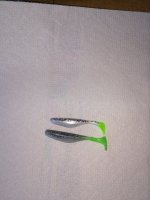 IMG_20240919_181245953.jpg