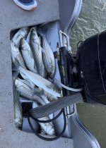 IMG_8815.jpeg IMG_8815.jpeg