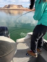 IMG_0829.jpeg