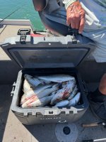 IMG_0816.jpeg