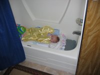 IMG_0336.jpeg IMG_0336.jpeg