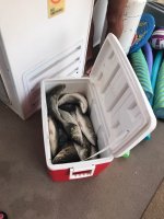 0CA38096-F318-4222-BE24-E82334E0FC78.jpeg