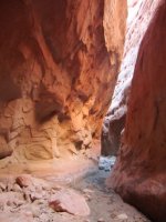Picture8.jpg