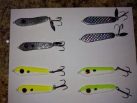 IMG_20200303_070111825.jpg
