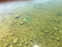 IMG_0784.JPG