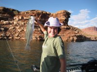 IMG_0466.jpg