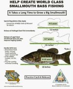 How to create a world class smallie lake.jpg