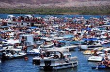 3077b1782bdfc41238dca0ef80e3f6e0--college-spring-break-spring-break-.jpg 3077b1782bdfc41238dca0ef80e3f6e0--college-spring-break-spring-break-.jpg