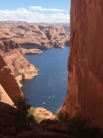 1590508370300.png