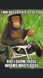 IMG_1569.PNG