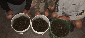 IMG_3895 (1) Crawdad buckets.jpg