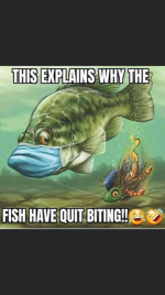 IMG_1620.PNG