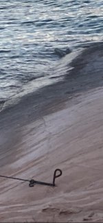 View recent photos.jpg