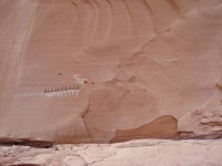 IMG_0882.jpg