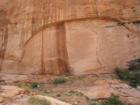 IMG_0888.jpg